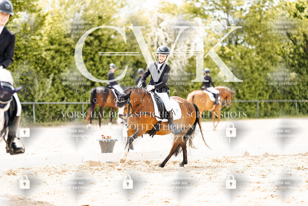 CK902377 | Turnierfotografie Pferdefotografie Trier Rheinland-Pfalz Pferdesport Reitsport Tierfotografie Sportfotografie Pferdevideo Pferdevideografie Equestrianvideography equestrianphotography  - Realisiert mit Pictrs.com