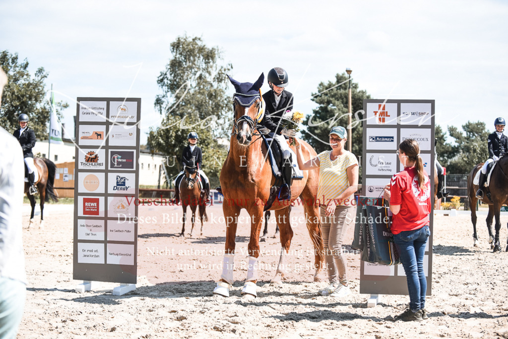 DSC_8781 | Pferde- und Turnierfotografie in Westsachsen. Pferdeportraits, Auftragszeichnungen und intuitive Kunst.