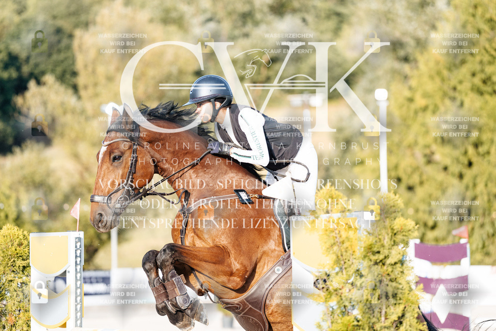 CK900763 | Turnierfotografie Pferdefotografie Trier Rheinland-Pfalz Pferdesport Reitsport Tierfotografie Sportfotografie Pferdevideo Pferdevideografie Equestrianvideography equestrianphotography  - Realisiert mit Pictrs.com