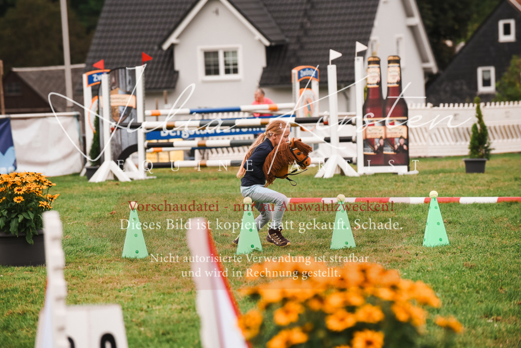 DSC_4525 | Pferde- und Turnierfotografie in Westsachsen. Pferdeportraits, Auftragszeichnungen und intuitive Kunst.