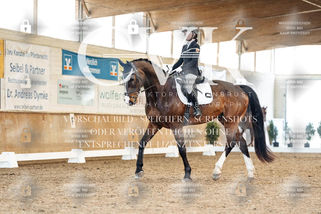 CK908499 | Turnierfotografie Pferdefotografie Trier Rheinland-Pfalz Pferdesport Reitsport Tierfotografie Sportfotografie Pferdevideo Pferdevideografie Equestrianvideography equestrianphotography  - Realisiert mit Pictrs.com