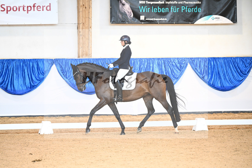 Kat-Nr. 43 Donna Galante_Scherer_14240799 | hf-fotografie - Realisiert mit Pictrs.com