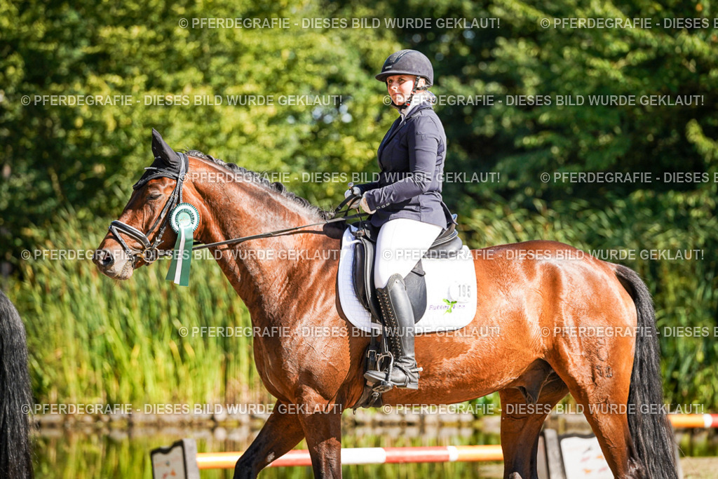 DSC00282 | Pferdegrafie