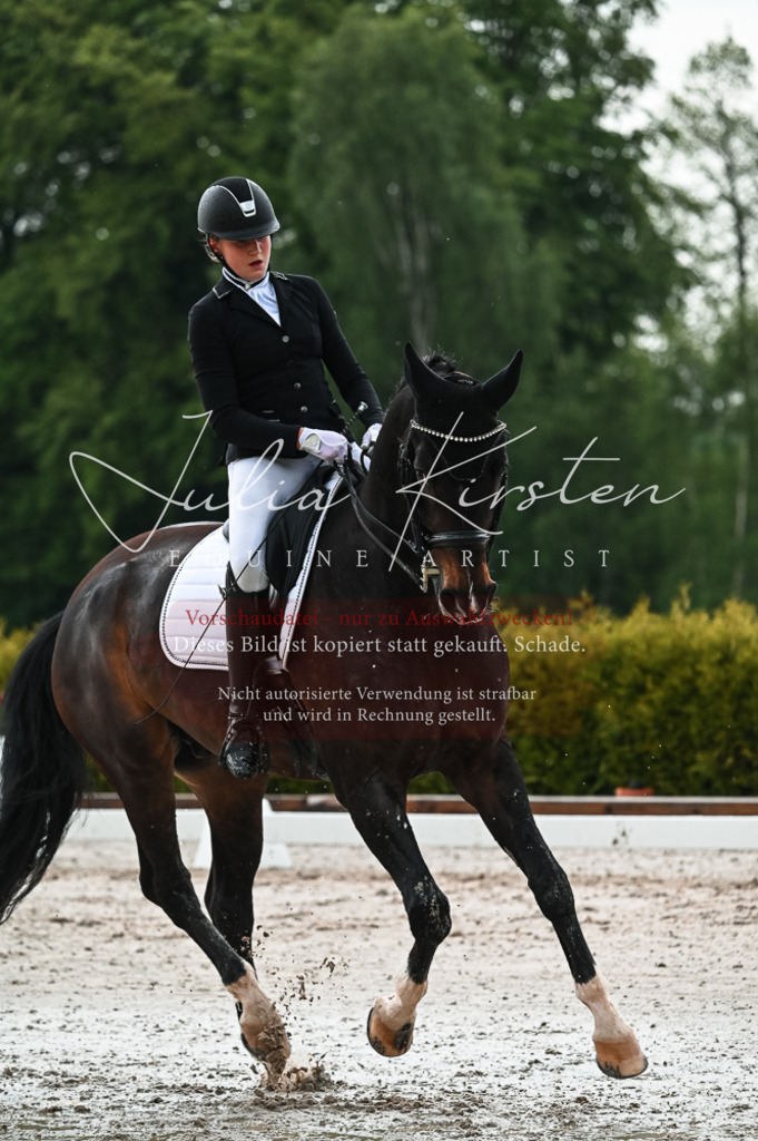 DSC_4367 | Pferde- und Turnierfotografie in Westsachsen. Pferdeportraits, Auftragszeichnungen und intuitive Kunst.