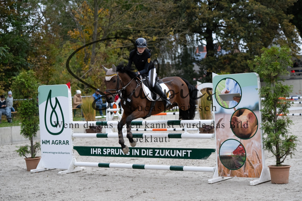 A7V08687 | Turnier/Reitfotograf