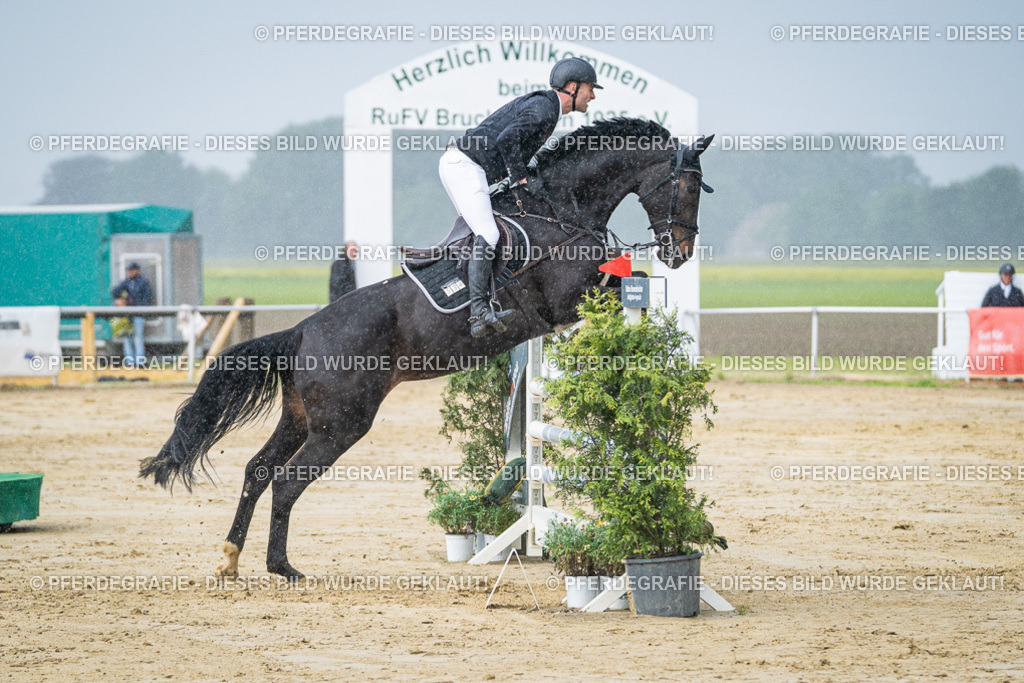 DSC04115 | Pferdegrafie