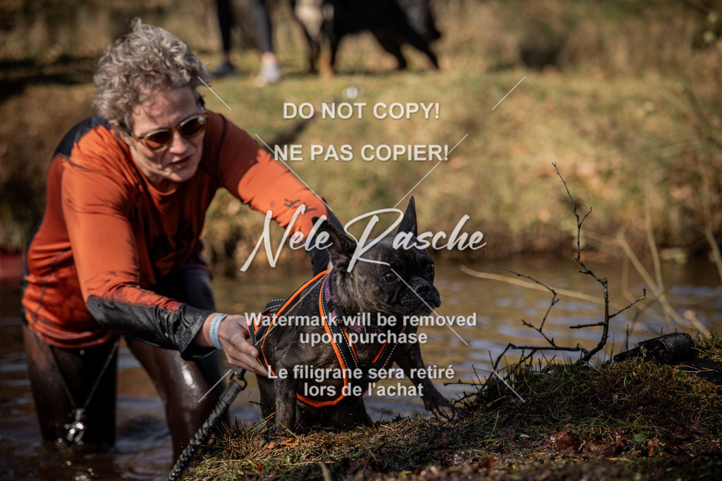 nelerasche_FS1300-1330_264 | nelerasche
