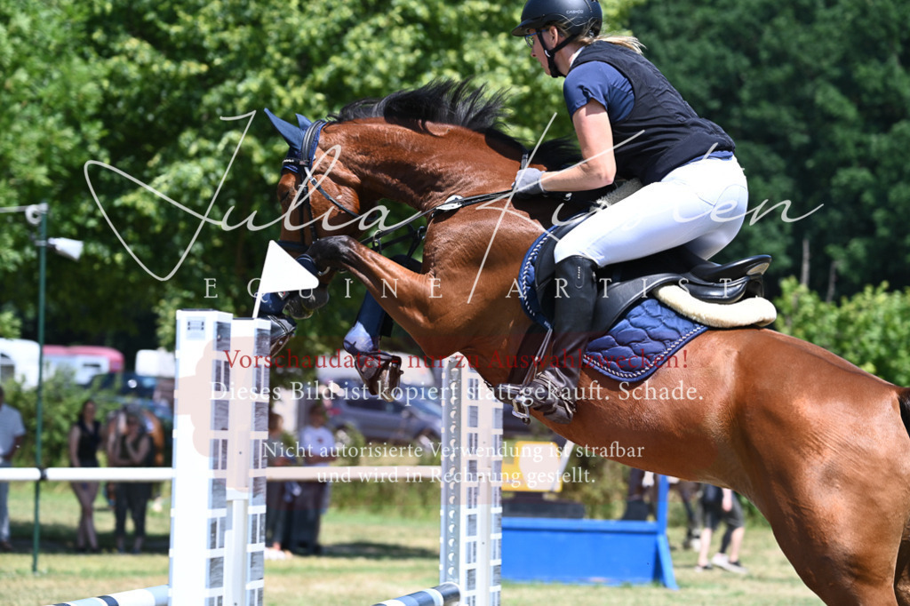 DSC_0625 | Pferde- und Turnierfotografie in Westsachsen. Pferdeportraits, Auftragszeichnungen und intuitive Kunst.