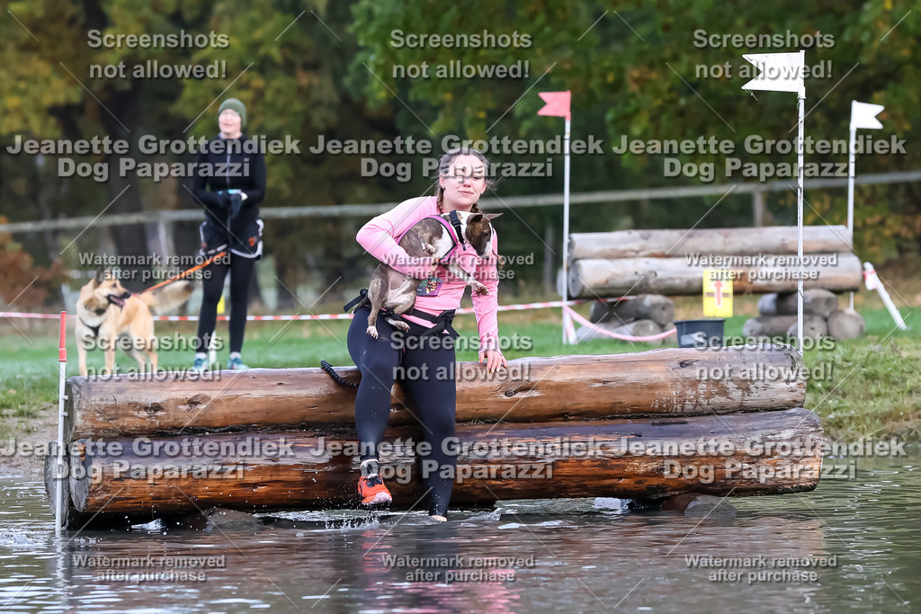 Dog Paparazzi - Strongdog 10-25-6413 | Dog Paparazzi Jeanette Grottendiek Fotografie & Videografie - Realisiert mit Pictrs.com