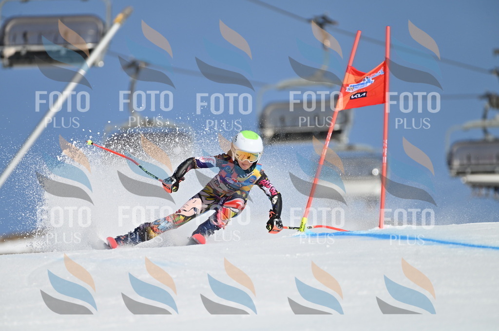 BGV_7679 | holidayphoto