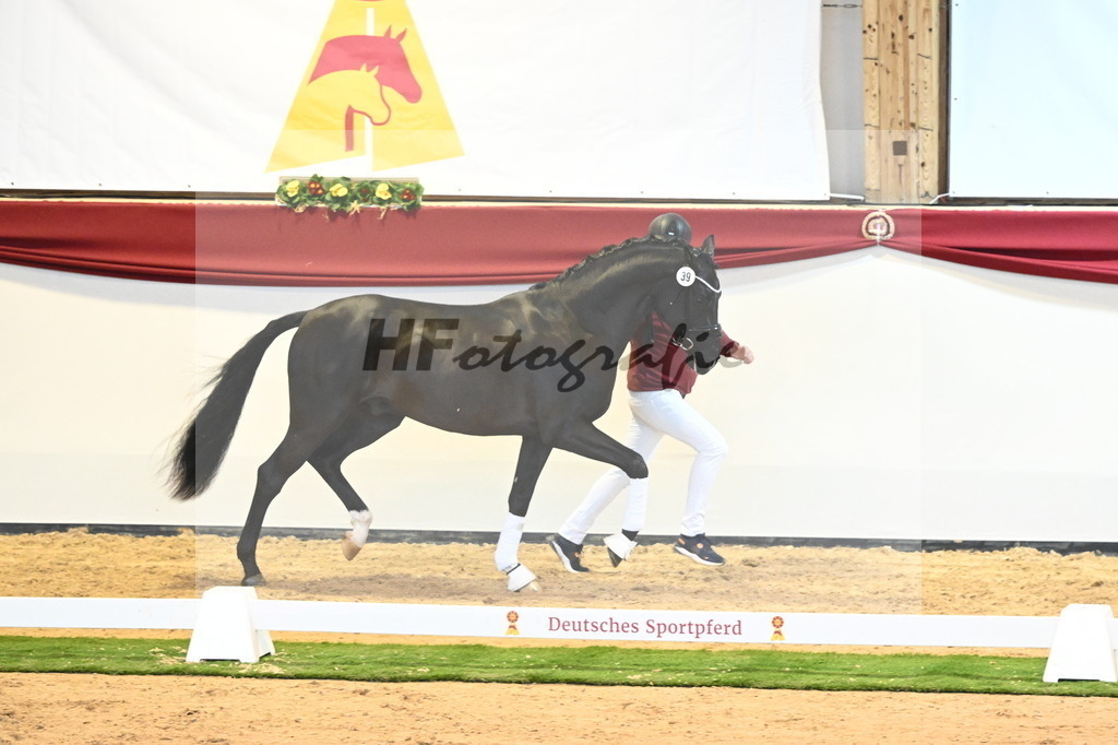 Kat.-Nr. 39 v. Dimaggio Black_Berger und Kopp_2240453 | hf-fotografie - Realisiert mit Pictrs.com