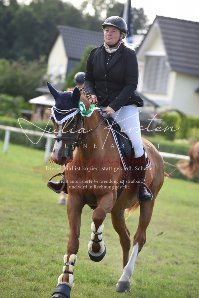 DSC_9012 | Pferde- und Turnierfotografie in Westsachsen. Pferdeportraits, Auftragszeichnungen und intuitive Kunst.