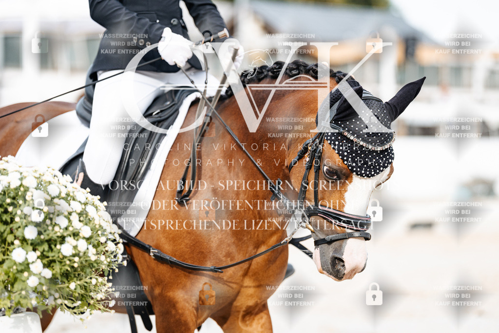 CK904315 | Turnierfotografie Pferdefotografie Trier Rheinland-Pfalz Pferdesport Reitsport Tierfotografie Sportfotografie Pferdevideo Pferdevideografie Equestrianvideography equestrianphotography  - Realisiert mit Pictrs.com