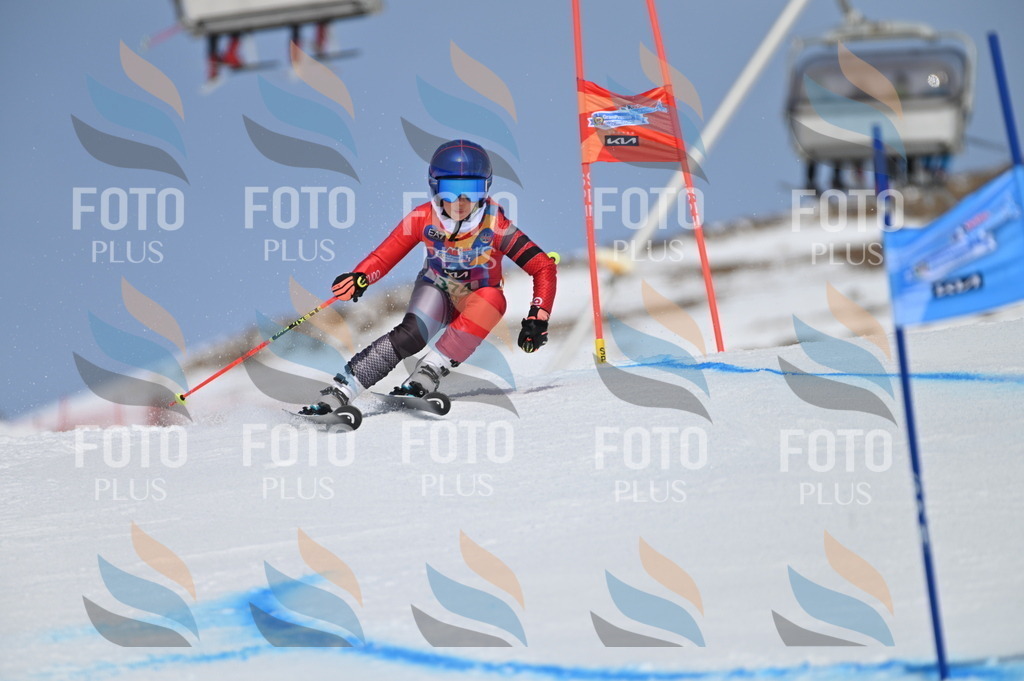 BGV_3394 | holidayphoto