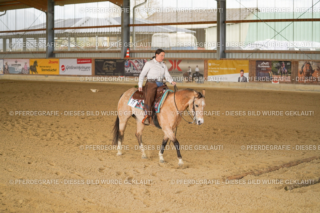 DSC03166 | Pferdegrafie