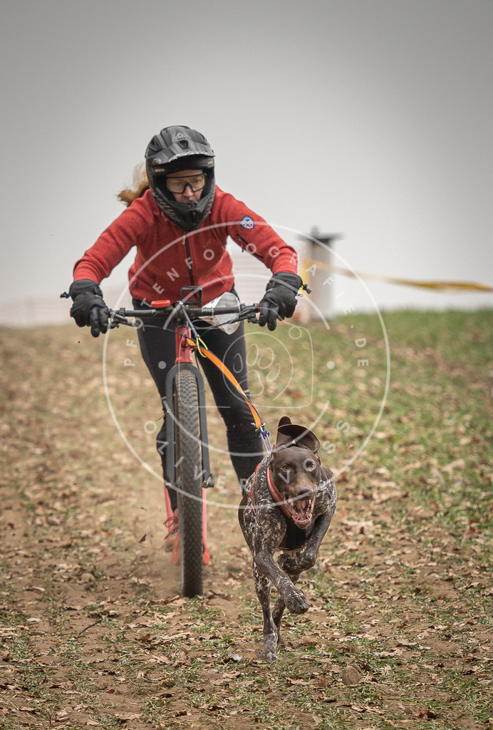 Pfotenfotografie_DV3A3610 | Hundefotografie, Tierfotograf, Pfotenfotografie, Fotoshooting Hund, Hunde Portrait, Hundesport, Hundeportraits, Heideshooting, Hunde, Sportfotograf, Hundefotograf, Turnierhundsport, THS,  - Realisiert mit Pictrs.com