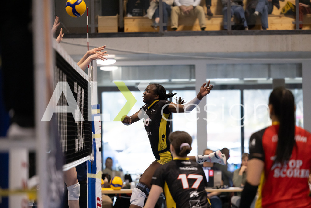 Volleyball I Frauen I Saison 2025-2026 I Volleyball NLA | Women I 1/4 Finals I  BIWI VFM - VC Kanti Schaffhausen I 01.03.2026 | 10 Karen Renteria (CO) (BIWI VFM) – Außenangriff - Realisiert mit Pictrs.com