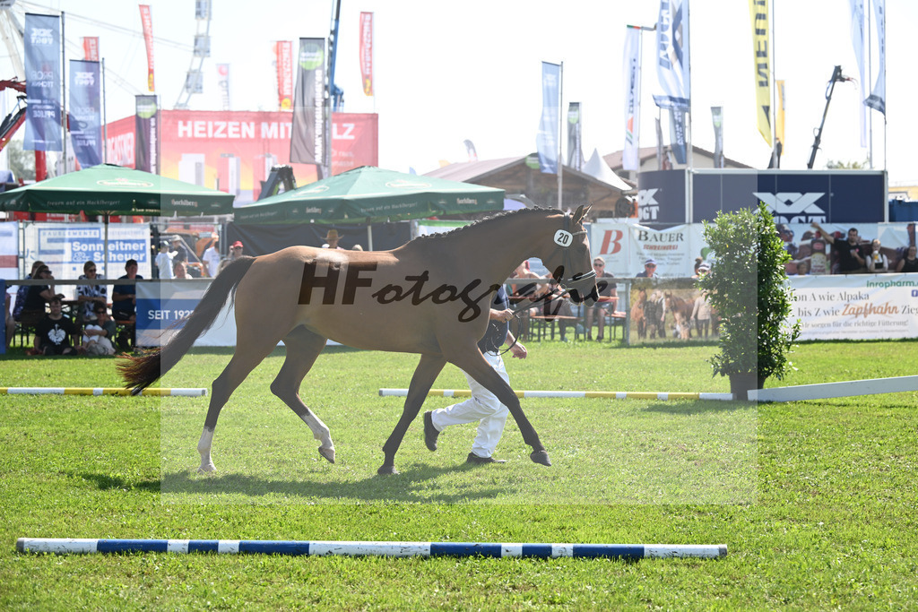 Kat-Nr. 20 Alice M_Mayer_34240482 | hf-fotografie - Realisiert mit Pictrs.com