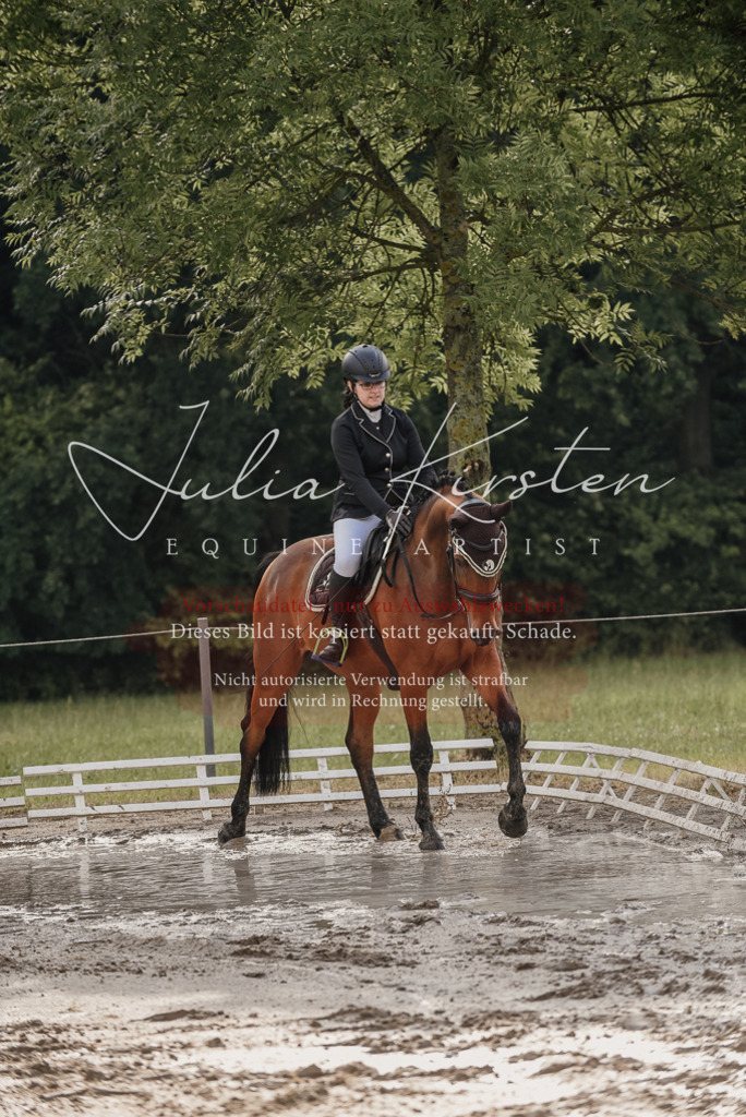 DSC_8434 | Pferde- und Turnierfotografie in Westsachsen. Pferdeportraits, Auftragszeichnungen und intuitive Kunst.