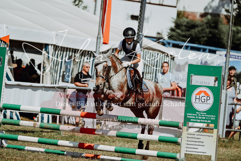 DSC_9761 | Pferde- und Turnierfotografie in Westsachsen. Pferdeportraits, Auftragszeichnungen und intuitive Kunst.