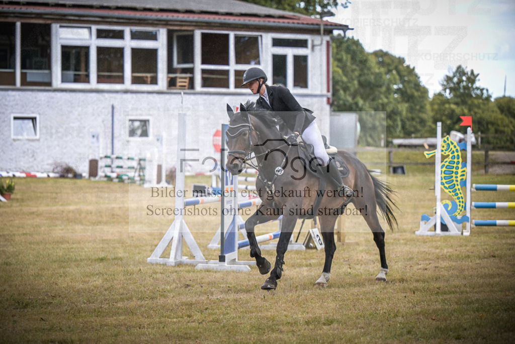 DOS_0296 | Entdecke hochwertige Reitturnierfotos von Foto Oger. Professionell, emotional und authentisch – jetzt Lieblingsmomente im Shop bestellen.Deutschlandweite Turnierfotografie. - Realisiert mit Pictrs.com