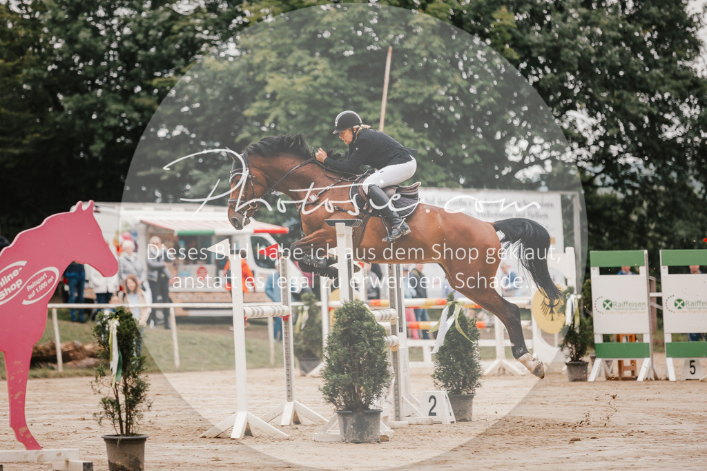 3I6A1932 | Stimmungsvolle Portraits und Reitsportfotografie im Ruhrgebiet und im Münsterland.

Pferdefotografie, Hundefotografie, Tierfotografie, Reportagen, Portraits von Tier und Mensch, Turnierfotografie in Bochum, Recklinghausen, Marl, Haltern am See, Dülmen.. - Realisiert mit Pictrs.com