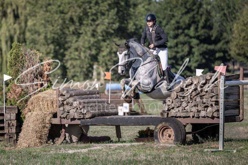 20260906-_3LI1570 | Tierfotografie Pferde, Hunde, Katzen, Haustiere.
Turnierfotografie Reitturniere, Reiten, Springreiten, Dressur in Hanau, dem Main-Kinzig-Kreis und dem Rhein-Main- Gebiet um Frankfurt