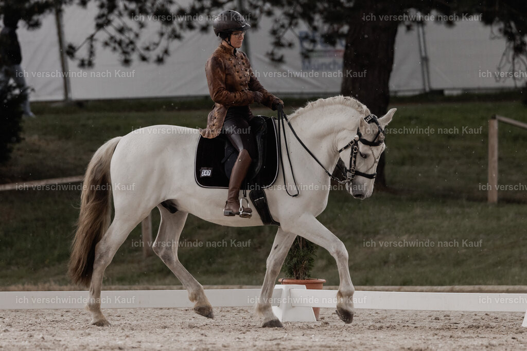 WE_DR_Stoib_347_PI2025_212 | Pferd International München 2025