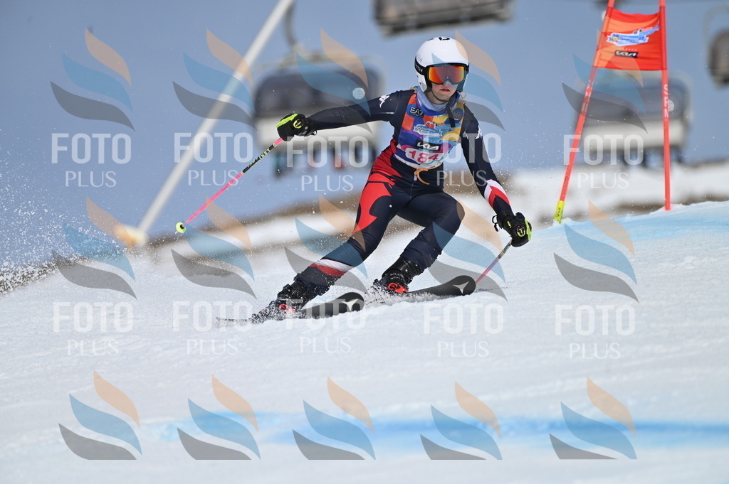 BGV_0688 | holidayphoto