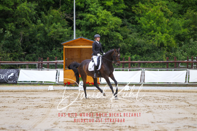 DKP47132 | Turniersportfotografie; Pferdefotografie; Dressurfotografie