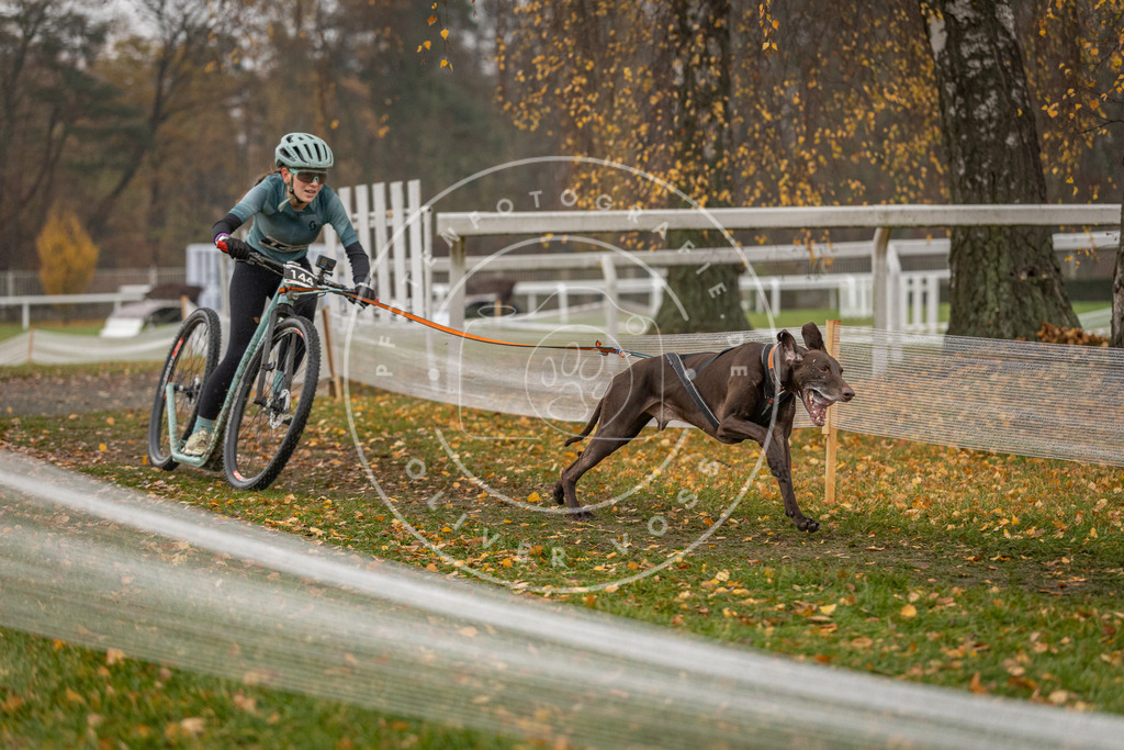CaniXpix_DV3A7985 | Hundefotografie, Tierfotograf, Pfotenfotografie, Fotoshooting Hund, Hunde Portrait, Hundesport, Hundeportraits, Heideshooting, Hunde, Sportfotograf, Hundefotograf, Turnierhundsport, THS,  - Realisiert mit Pictrs.com