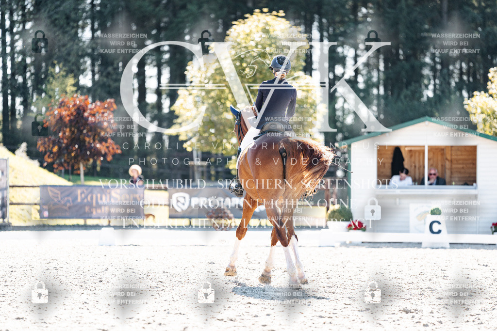 CK905490 | Turnierfotografie Pferdefotografie Trier Rheinland-Pfalz Pferdesport Reitsport Tierfotografie Sportfotografie Pferdevideo Pferdevideografie Equestrianvideography equestrianphotography  - Realisiert mit Pictrs.com