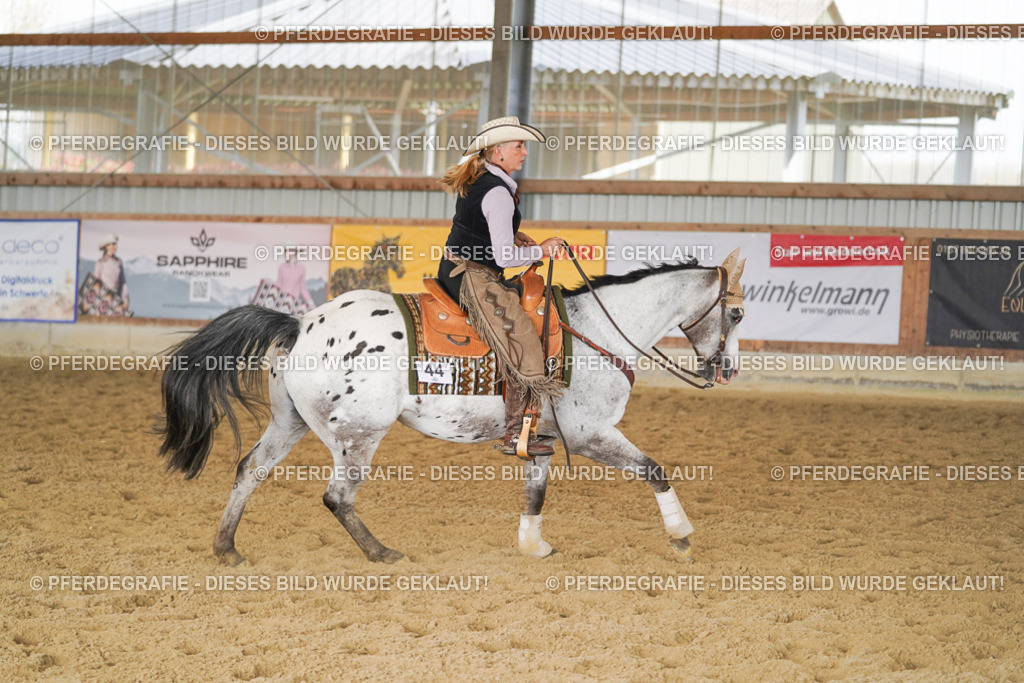 DSC01952 | Pferdegrafie