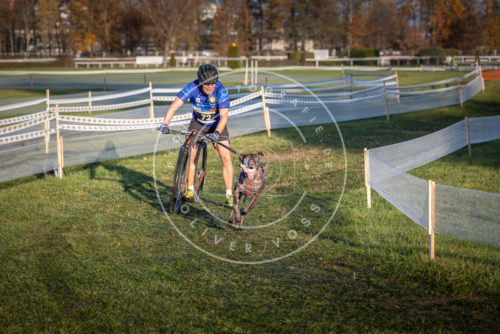 CaniXpix_0L8A3353 | Hundefotografie, Tierfotograf, Pfotenfotografie, Fotoshooting Hund, Hunde Portrait, Hundesport, Hundeportraits, Heideshooting, Hunde, Sportfotograf, Hundefotograf, Turnierhundsport, THS,  - Realisiert mit Pictrs.com