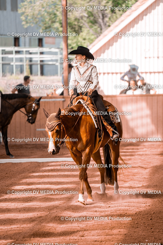 NE201047 | dv-media-shop - Realisiert mit Pictrs.com