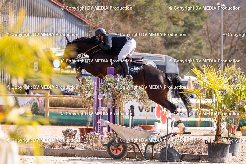 Kranichstein Tag 2-884 | dv-media-shop - Realisiert mit Pictrs.com