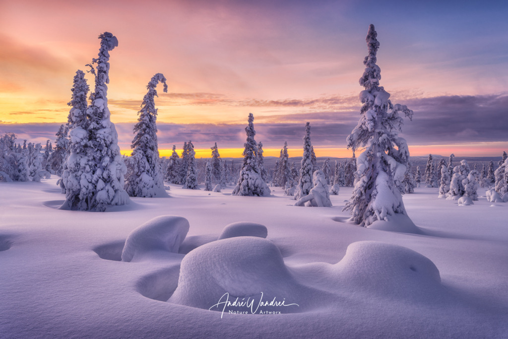 Winterwunderland | Andre Wandrei - Nature Artworx - Realisiert mit Pictrs.com