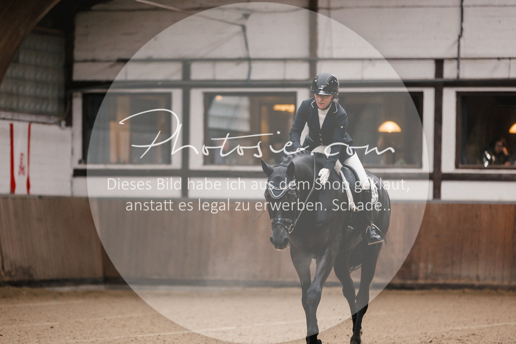 3I6A6327 | Stimmungsvolle Portraits und Reitsportfotografie im Ruhrgebiet und im Münsterland.

Pferdefotografie, Hundefotografie, Tierfotografie, Reportagen, Portraits von Tier und Mensch, Turnierfotografie in Bochum, Recklinghausen, Marl, Haltern am See, Dülmen.. - Realisiert mit Pictrs.com