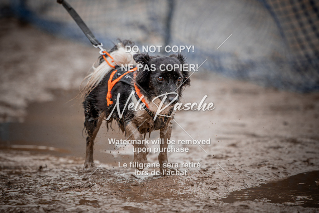 nelerasche_Creepy2025_Sa11-12_380 | nelerasche