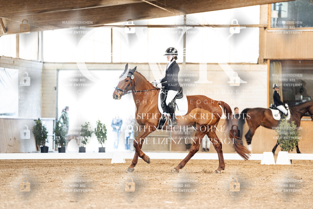 CK901071 | Turnierfotografie Pferdefotografie Trier Rheinland-Pfalz Pferdesport Reitsport Tierfotografie Sportfotografie Pferdevideo Pferdevideografie Equestrianvideography equestrianphotography  - Realisiert mit Pictrs.com