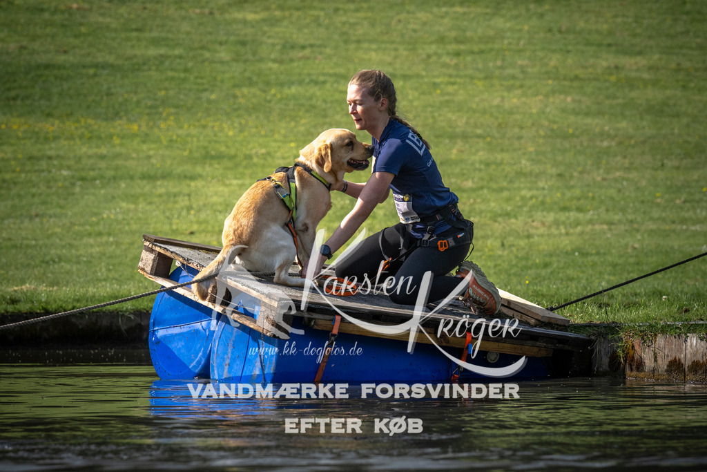 0831_ZZ99400 | kk-dogfotos