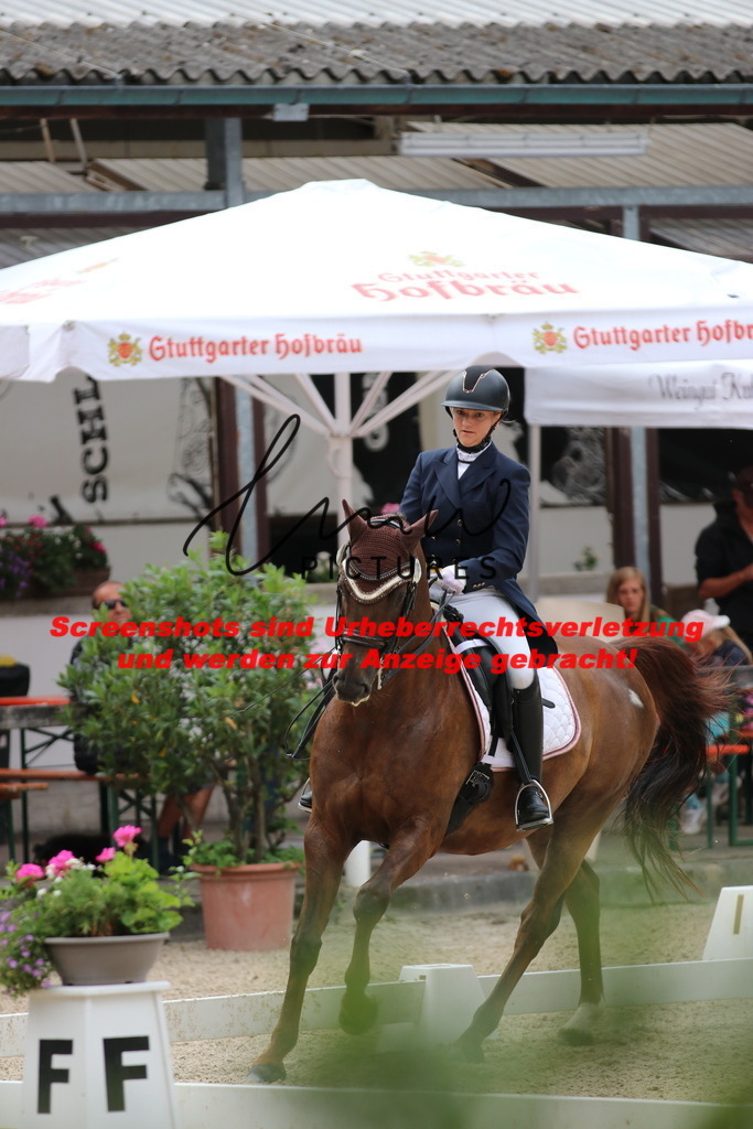 IMG_9796 | lmwpictures - Realisiert mit Pictrs.com