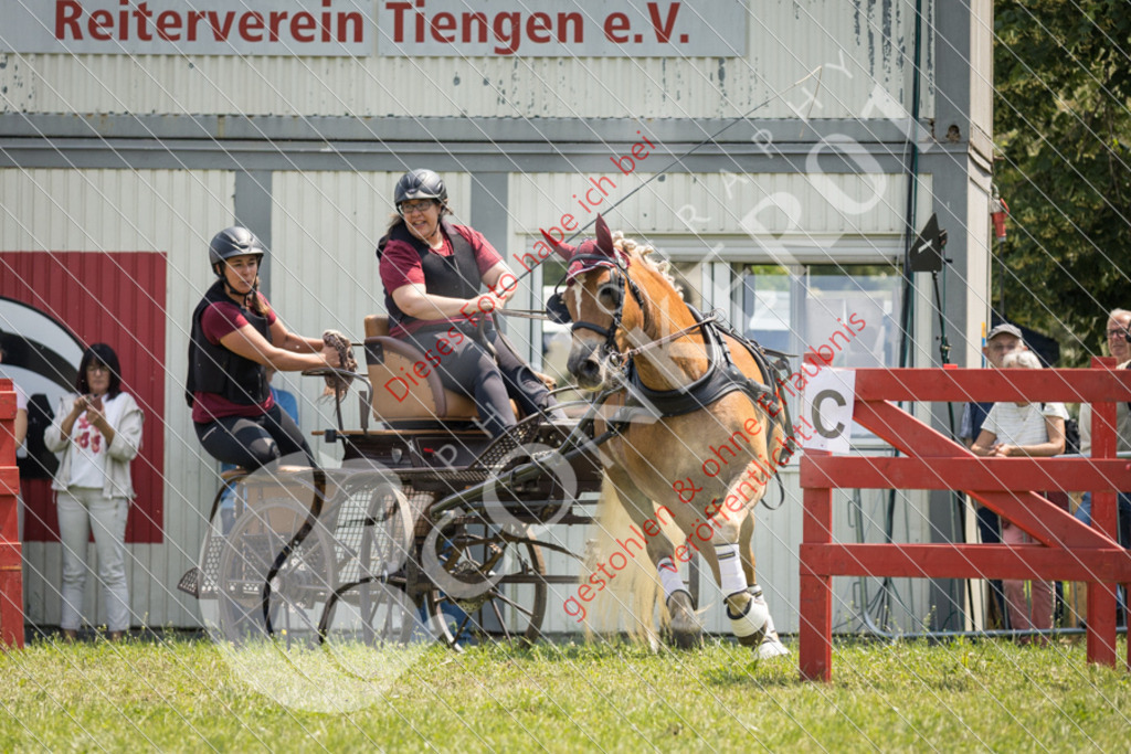 IMG_8479 | Sport-, Event- und Tierfotos in Profiqualität. Einfach auswählen, bestellen und herunterladen. Dein Moment – perfekt festgehalten.
