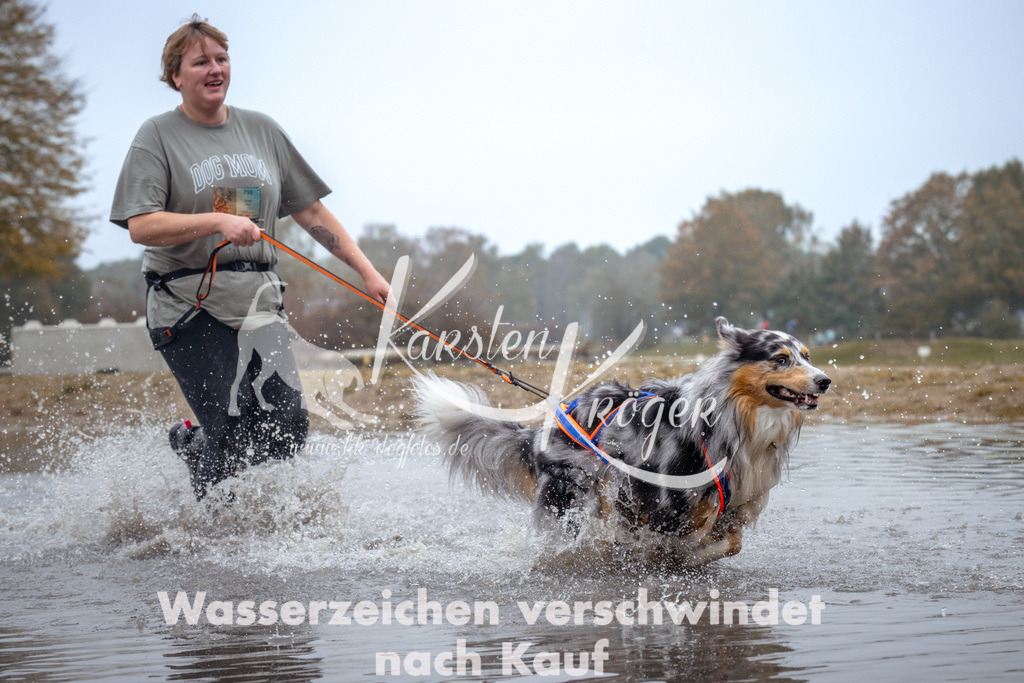 1100_ZZ92449 | kk-dogfotos
