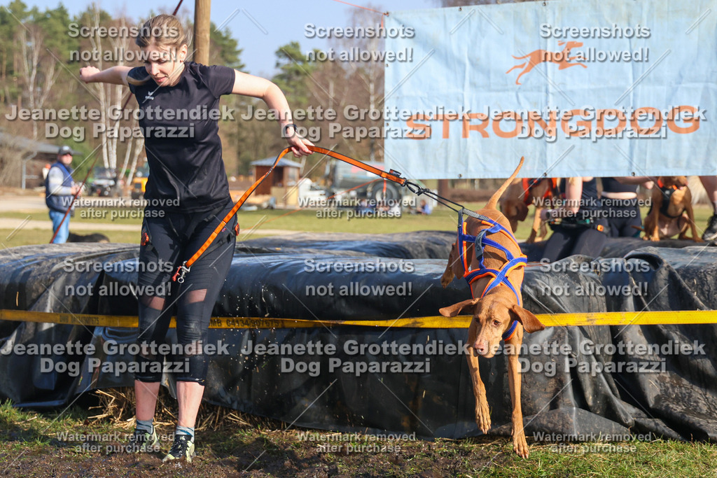 Dog Paparazzi - Strongdog North Mrz26-2897 | Dog Paparazzi Jeanette Grottendiek Fotografie & Videografie - Realisiert mit Pictrs.com