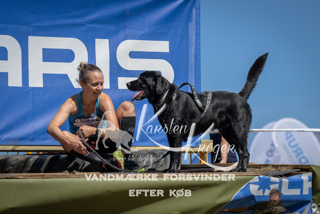 1302_ZZ97881 | kk-dogfotos