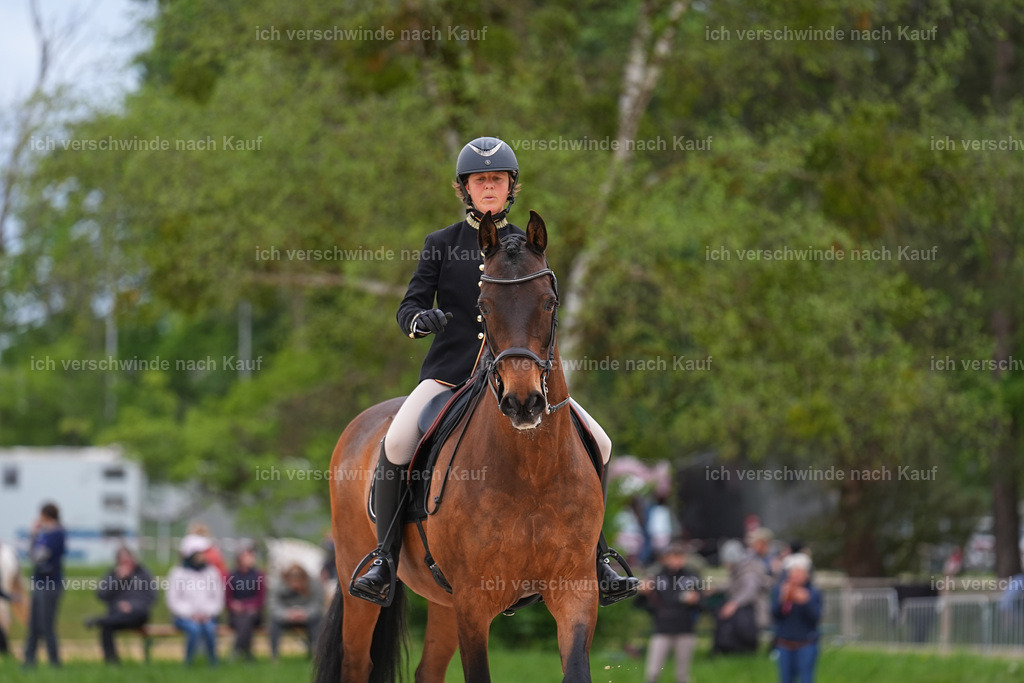 PI26_DR_262_StoibphotographySIN09571.jpg | working equitationturnier fotograf videograf stoibphotography marixx film working equitation deutschland reitsport turnierfotografie eventfotografie equestrian events