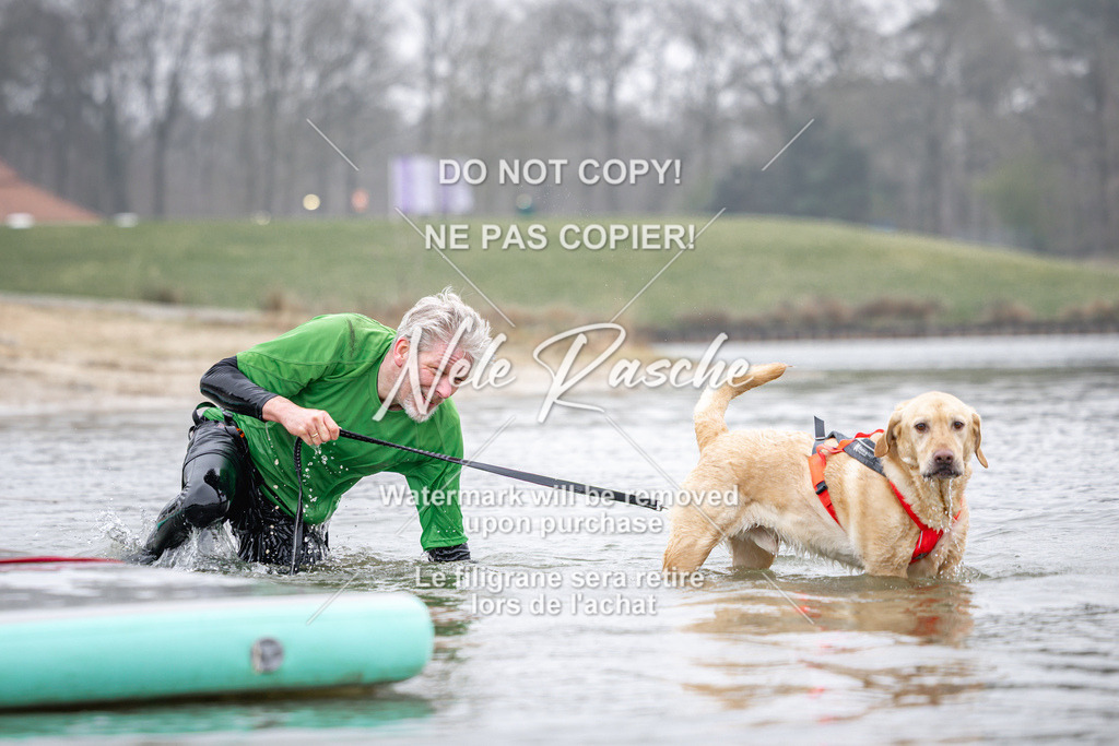 nelerasche_Hulsbeek_Sa1030-1100_676 | nelerasche