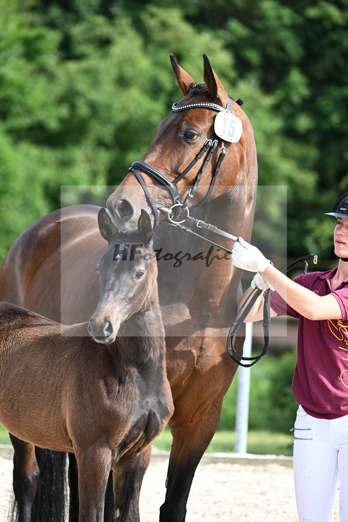 Kat-Nr. 15 Secret Escape x Bailando_SF_Ochs_17251018 | hf-fotografie - Realisiert mit Pictrs.com