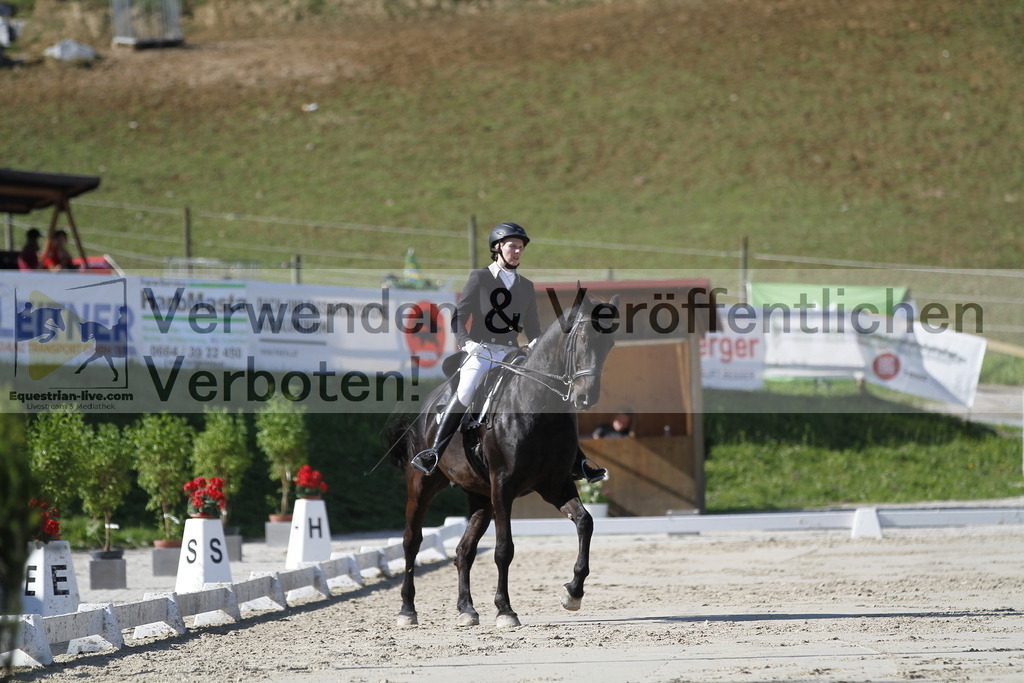 _MG_3113 | equestrian-live-com